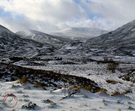 Scottish Highlands 9T047D-017.JPG